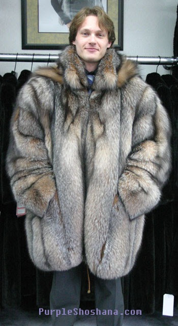 Men Brown fox with detachable hood