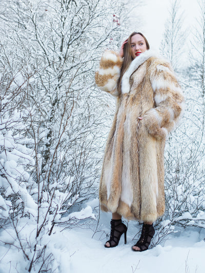 Elegant coyote fur coat with white fox trim in snow