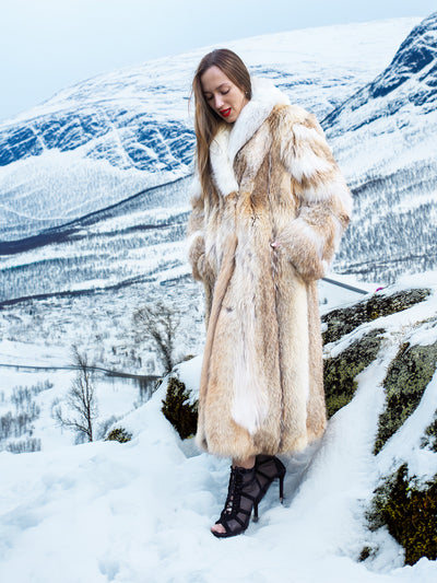 Coyote fur coat with white fox trim in birch forest