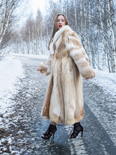 Coyote fur coat with white fox trim in snowy woods