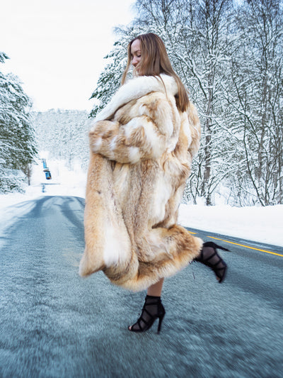 Coyote fur coat with white fox trim on winter road