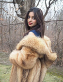 Tanuki raccoon fur coat collar and shoulder in close-up, tan fur, woman wearing navy dress.