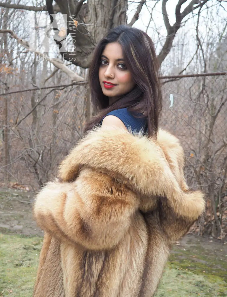 Tanuki raccoon fur coat collar and shoulder in close-up, tan fur, woman wearing navy dress.