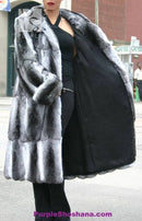 Chinchilla fur coat with high collar, plush sleeves, draped dark lining at open front