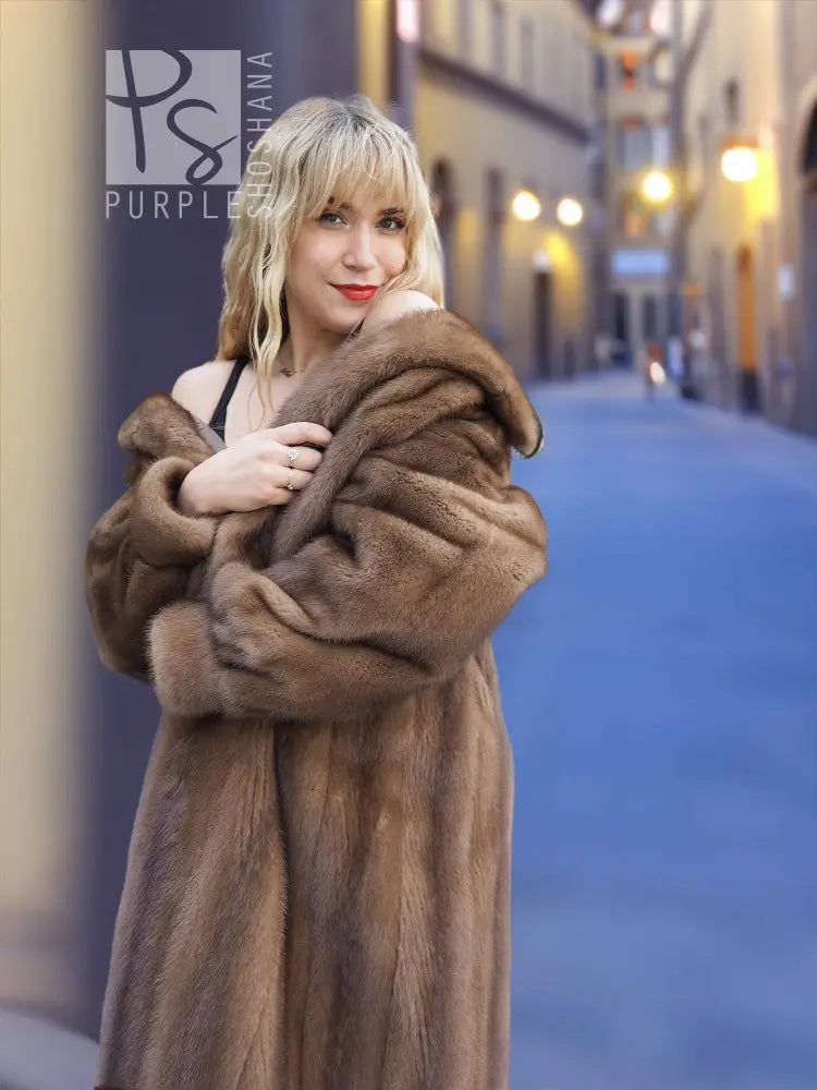 Brown mink fur coat with hood, front clasp, and plush fur texture detail.