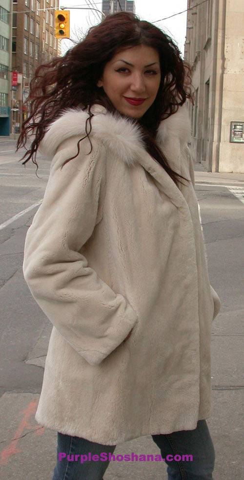Hooded Cream Sheared Beaver Fur Coat S / M - Purple Shoshana Furs